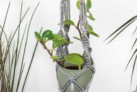 Step-by-Step DIY Macramé Plant Hanger Tutorial for Beginners