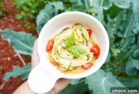 Garden-Fresh Zucchini Noodles with Light Lemon Garlic Sauce