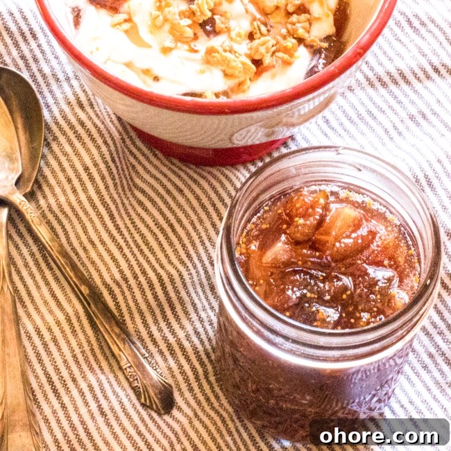Spiced Fig Jam for Canning: Homemade Preserving Recipe 5 A jar of fig jam and a bowl of yogurt with granola.