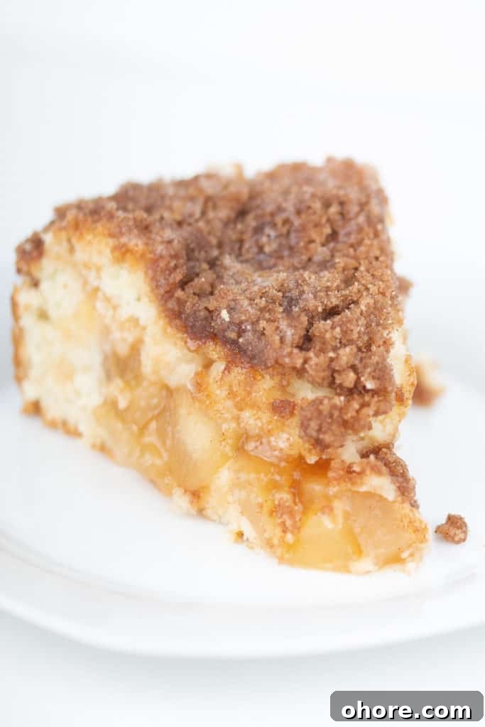Apple Cinnamon Crumb Cake Recipe with Tender Apple Filling 2 Apple cinnamon crumb cake