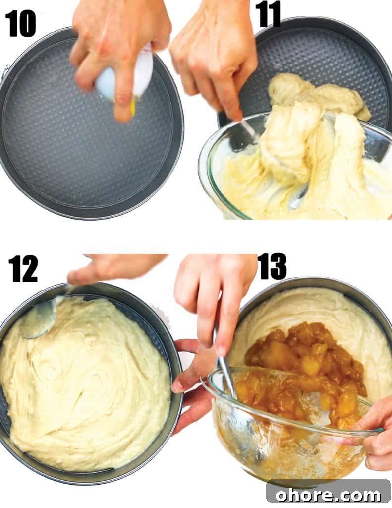 Apple Cinnamon Crumb Cake Recipe with Tender Apple Filling 6 Layered crumb cake