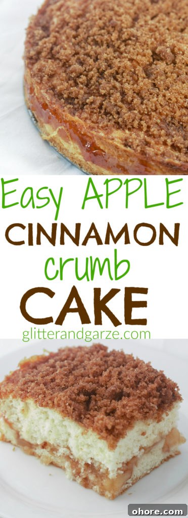 Apple Cinnamon Crumb Cake Recipe with Tender Apple Filling 10 easy apple cinnamon crumb cake
