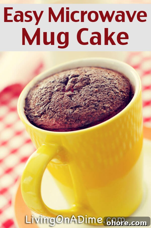 Microwave Mug Cake Recipe for Quick Warm Desserts 2 Easy Microwave Mug Cake Recipe