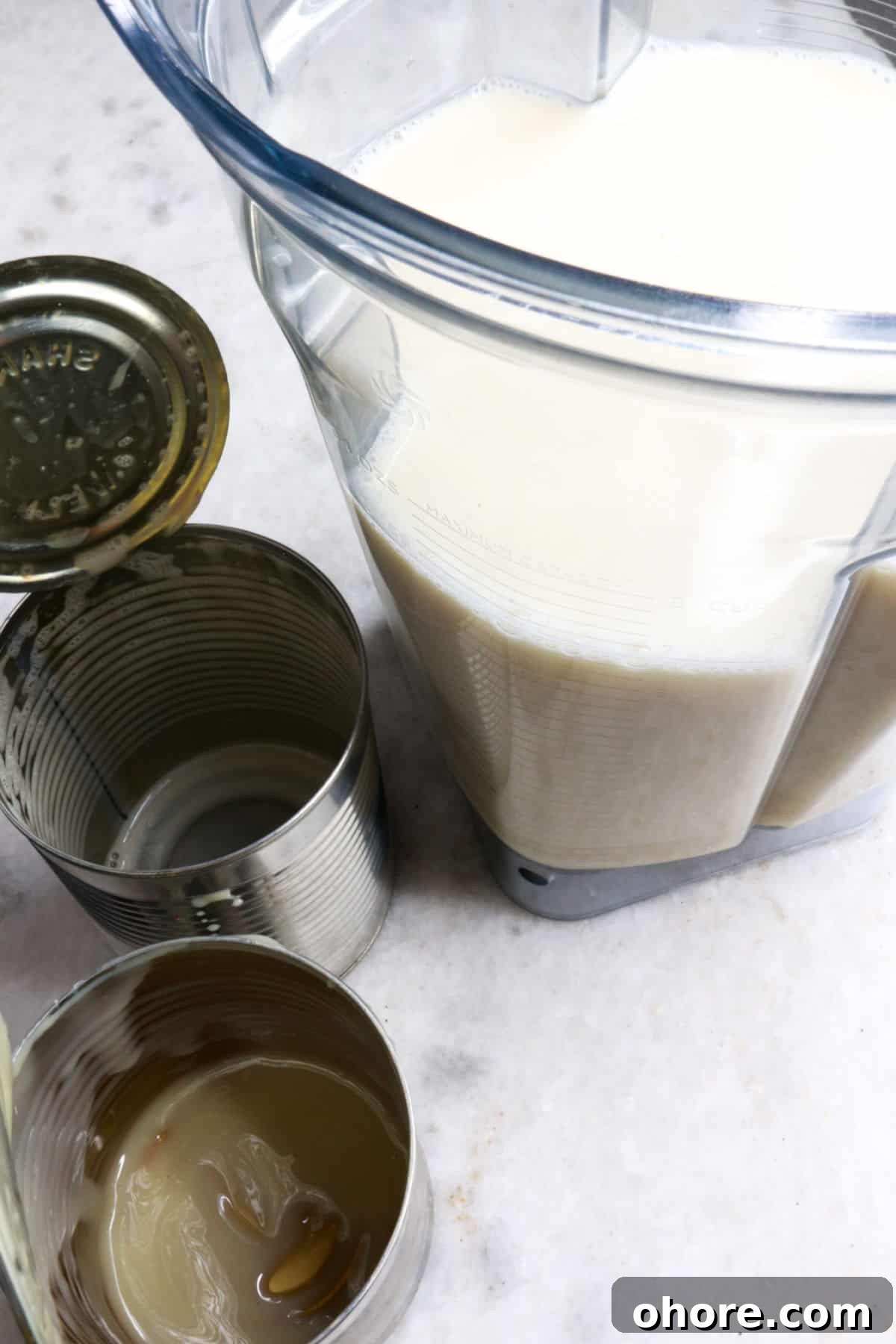 Banana Agua Fresca Recipe — Refreshing Banana Water Drink 4 Blender with water, condensed milk, and evaporated milk