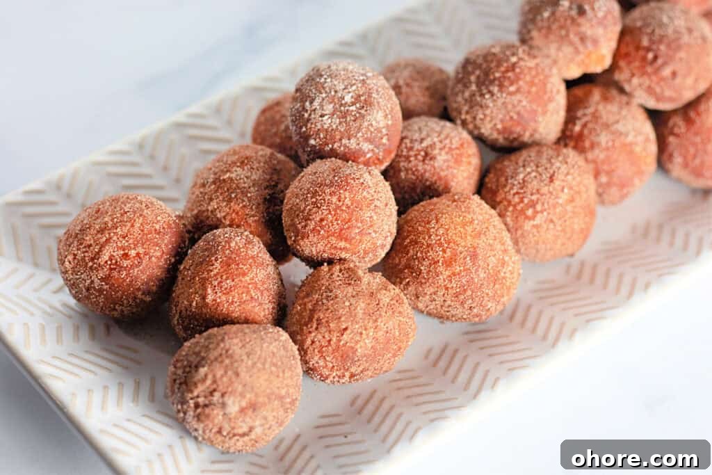 A rectangular plate holds several round donut holes coated in cinnamon sugar.