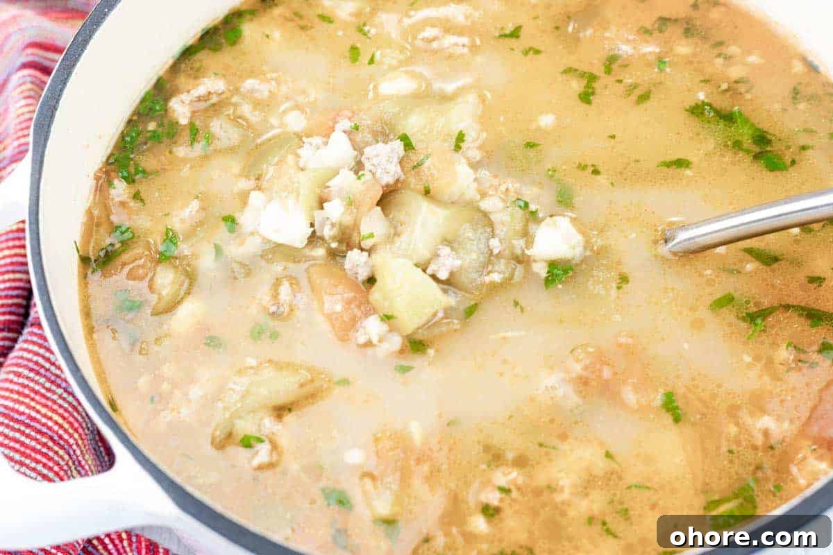 A pot of Green pork posole soup with ground meat, vegetables, herbs, and broth, with a metal ladle resting inside.