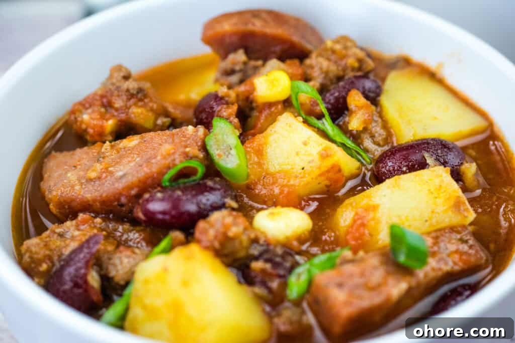 A bowl of Texas cowboy stew garnished with green onions.