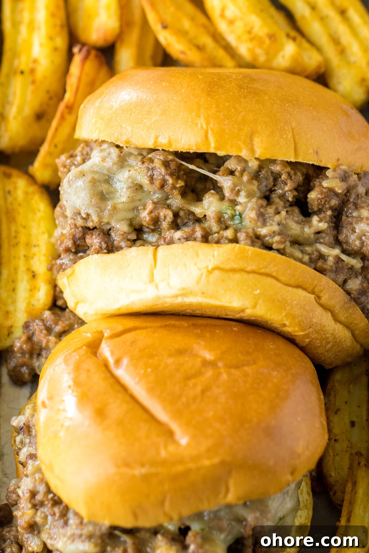 French Onion Sloppy Joes on a bed of fries.
