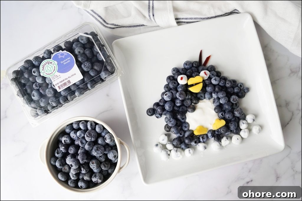 naturipe blueberries with penguin made from blueberries on white plate