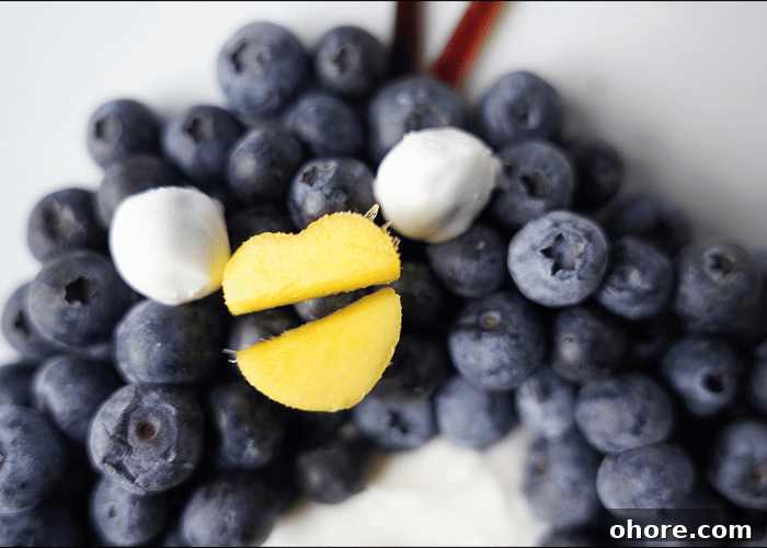 close of blueberries with white yogurt and mango as beak