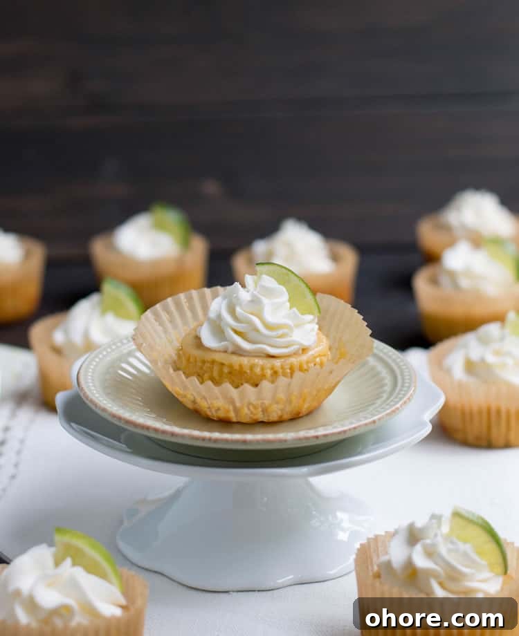 Mini Key Lime Pies: Tangy Bite-Size Dessert Recipe 2 Easy Mini Key Lime Pies come together quickly with just five ingredients and one bowl. Creamy and full of fresh lime flavor, a perfect dessert for summer!