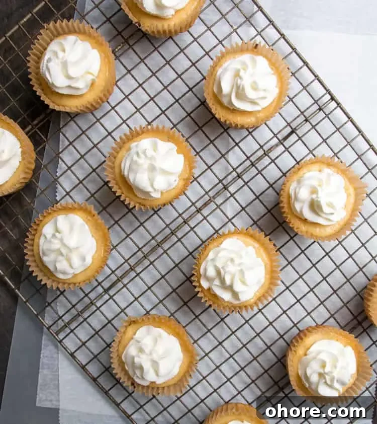 Mini Key Lime Pies: Tangy Bite-Size Dessert Recipe 7 Mini key lime pies with whipped cream and lime slices