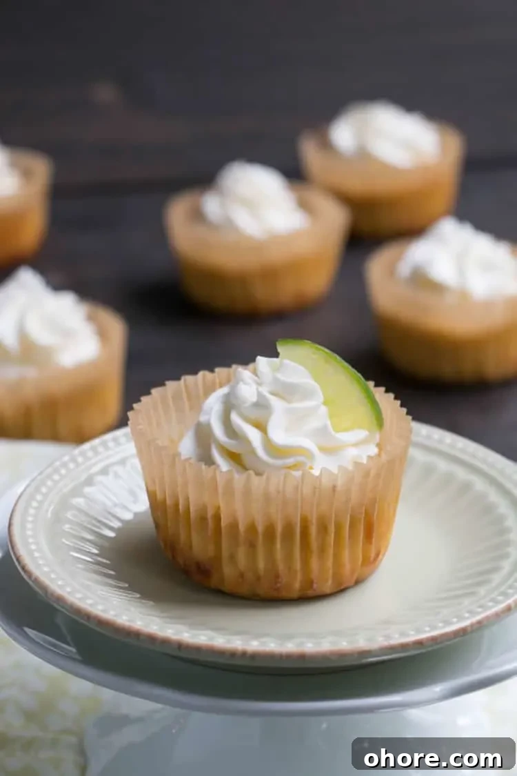 Mini Key Lime Pies: Tangy Bite-Size Dessert Recipe 6 Mini key lime pies arranged on a tray