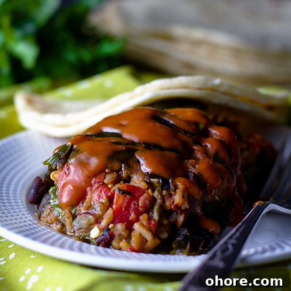 A stuffed poblano pepper with enchilada sauce.