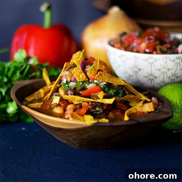 Vegetarian Chili with Fresh Pico de Gallo and Chimichurri 5 Vegetarian chili with pico de Gallo, chimichurri sauce, and fried tortilla strips.