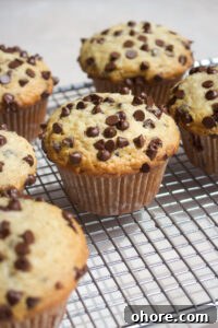 Apple Cinnamon Oatmeal Cookies recipe with warm spices and apples 7 Coconut Chocolate Chip Muffins