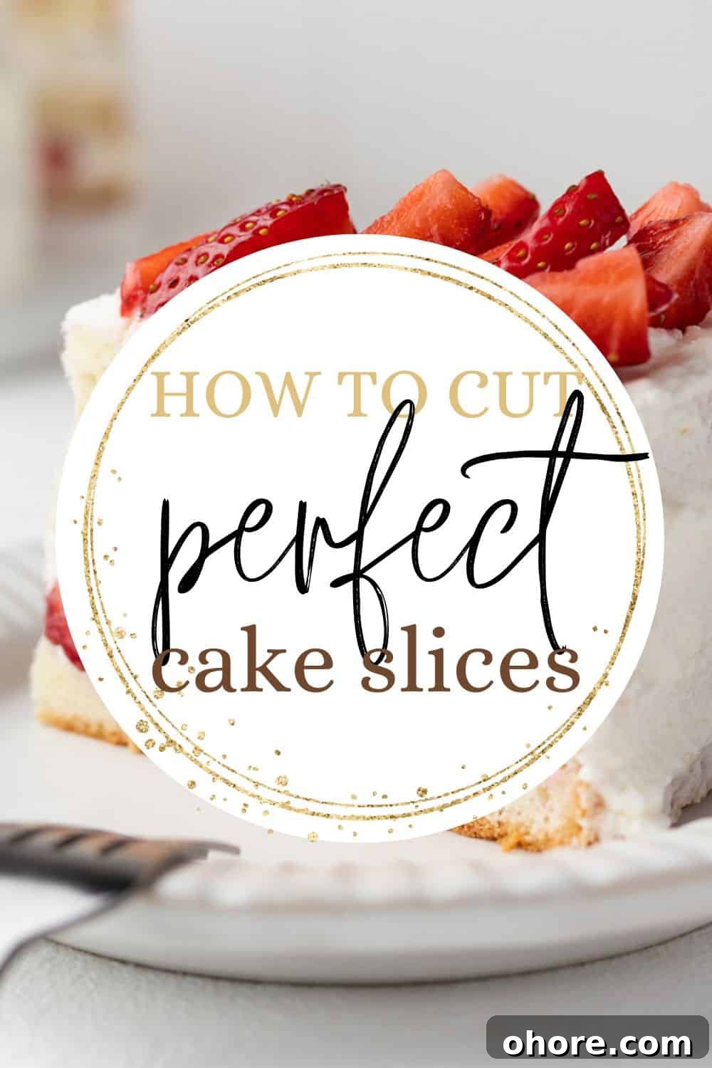 A single cake slice with overlying text.