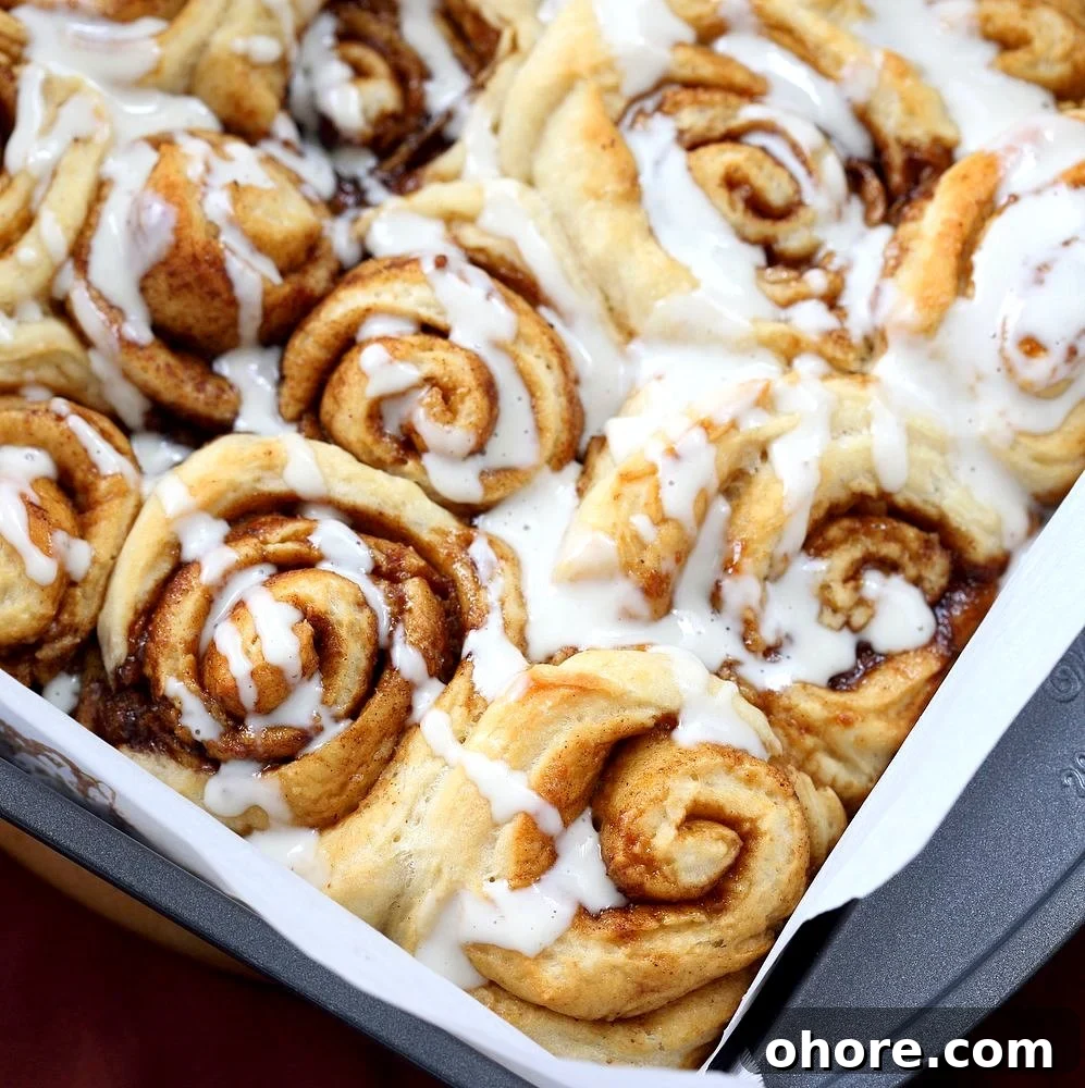 1-Hour Vegan Cinnamon Rolls Made with Aquafaba 12 Easy Homemade 1 hour Cinnamon Rolls.