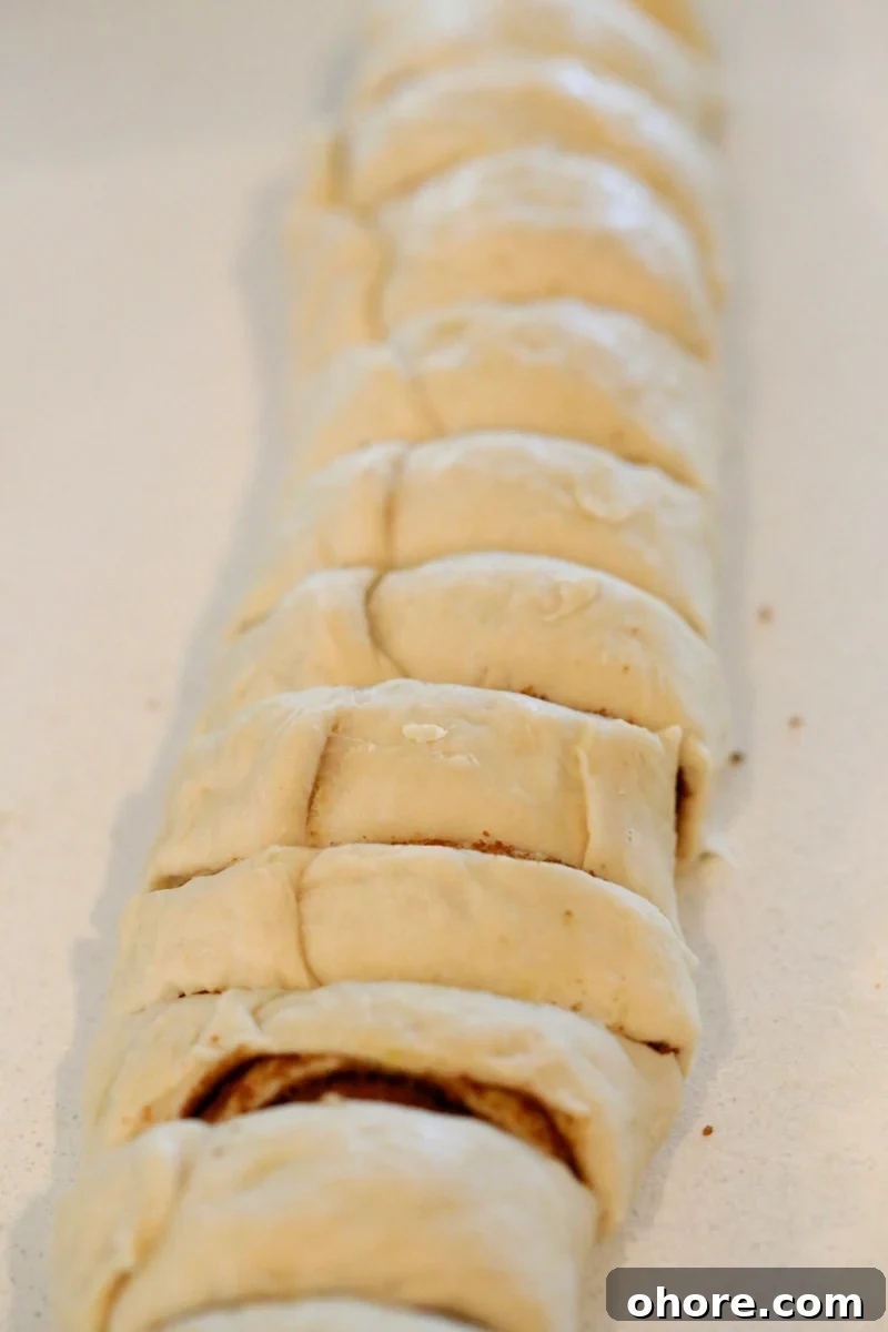 1-Hour Vegan Cinnamon Rolls Made with Aquafaba 6 Cinnamon roll slices in pan.