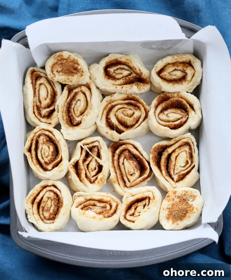 1-Hour Vegan Cinnamon Rolls Made with Aquafaba 7 Cinnamon rolls in pan ready to rise.
