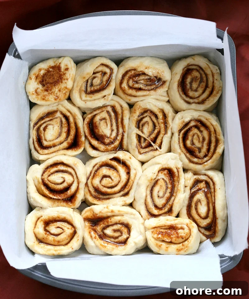 1-Hour Vegan Cinnamon Rolls Made with Aquafaba 8 Cinnamon rolls after rising.