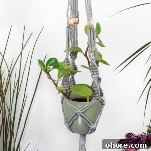plant hanger
