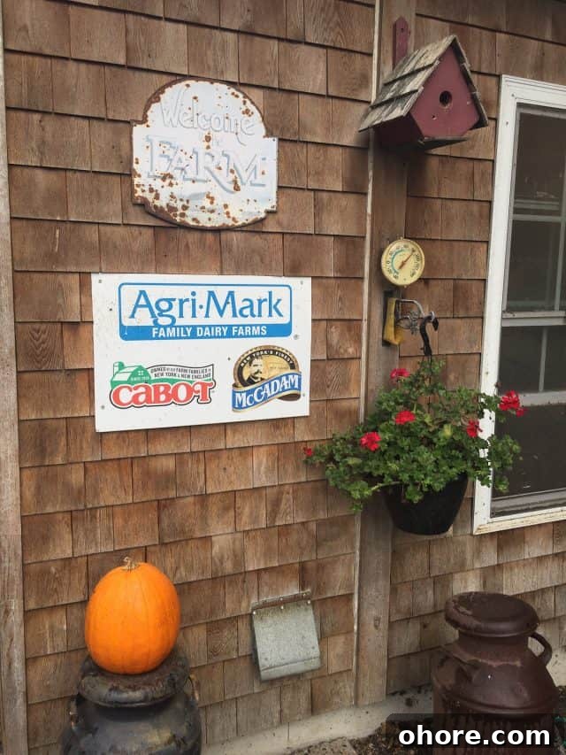 Weekend in Narragansett, RI: Ocean Road 10K with The Cabot Fit Team 8 img 14966 7