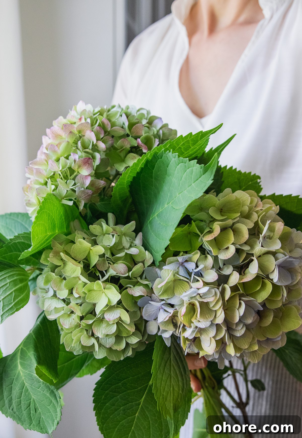 How to Keep Cut Flowers Fresh Longer: Proven Tips and Care Guide 2 How to keep cut flowers alive longer