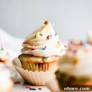 A funfetti cupcake frosted and topped with sprinkles.