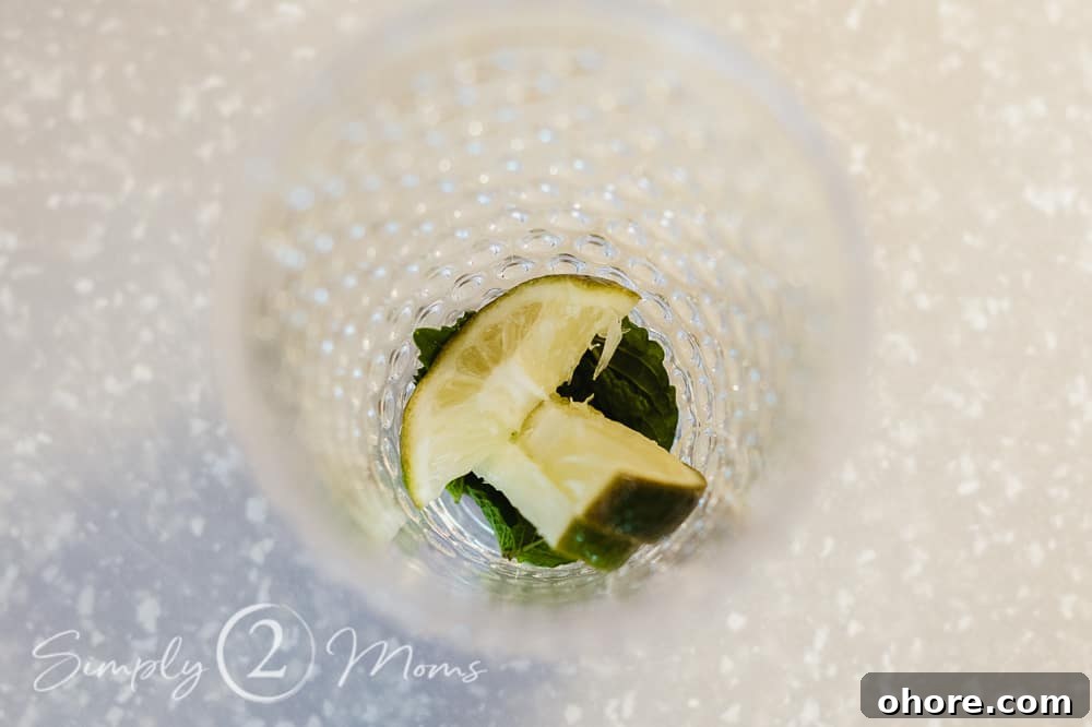 photo of a glass with fresh lime wedges and mint in the bottom