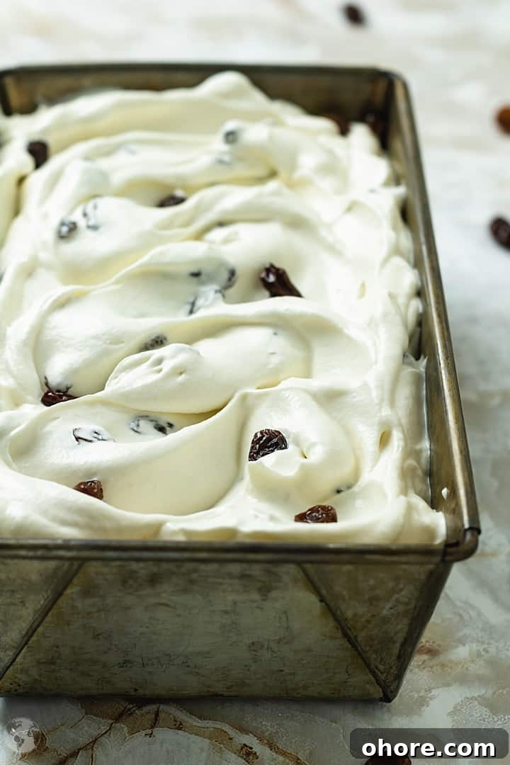 Rum and Raisin Gelato with Warm Rum Caramel Sauce 3 A shot of soft gelato in a tin pan before freezing.