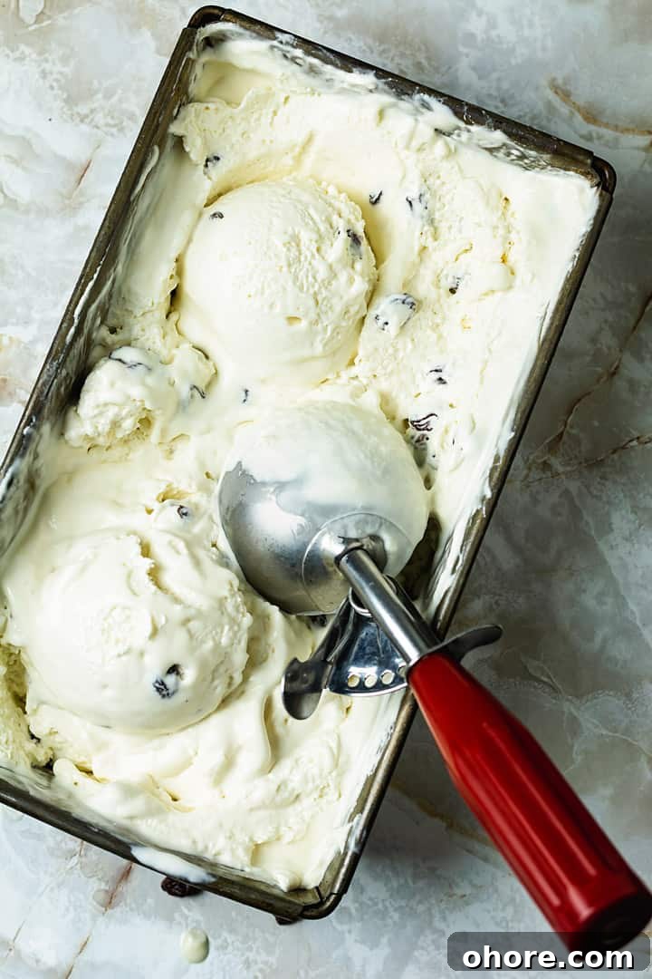 Rum and Raisin Gelato with Warm Rum Caramel Sauce 9 an overhead shot of rum and raisins ice cream with a red ice cream scoop