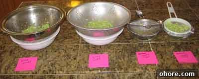 Cucumber Experiment: Growing and Observing Cucumbers at Home 2 Draining cucumbers for tzatziki.