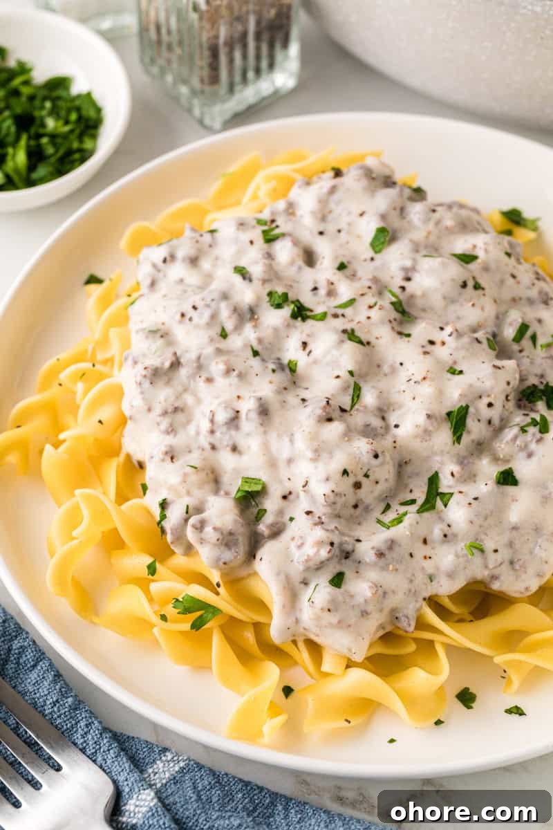 Classic Ground Beef Stroganoff Recipe for Dinner Tonight 2 top-down view of the Beef Stroganoff served on a white plate.