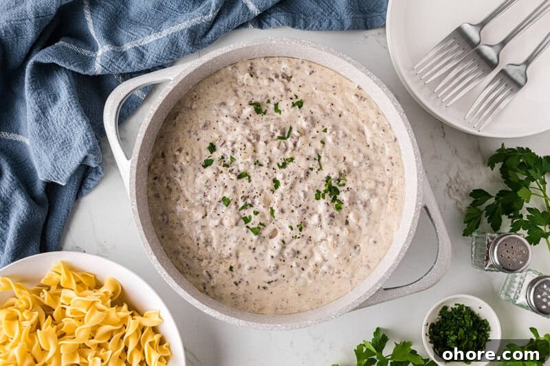 Classic Ground Beef Stroganoff Recipe for Dinner Tonight 4 top-down view of the Stroganoff in the large pot.