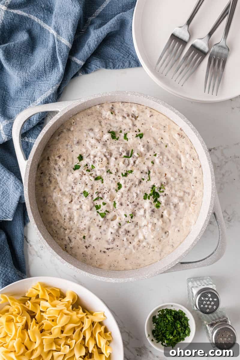 Classic Ground Beef Stroganoff Recipe for Dinner Tonight 8 top-down view of the Beef Stroganoff in the pot.