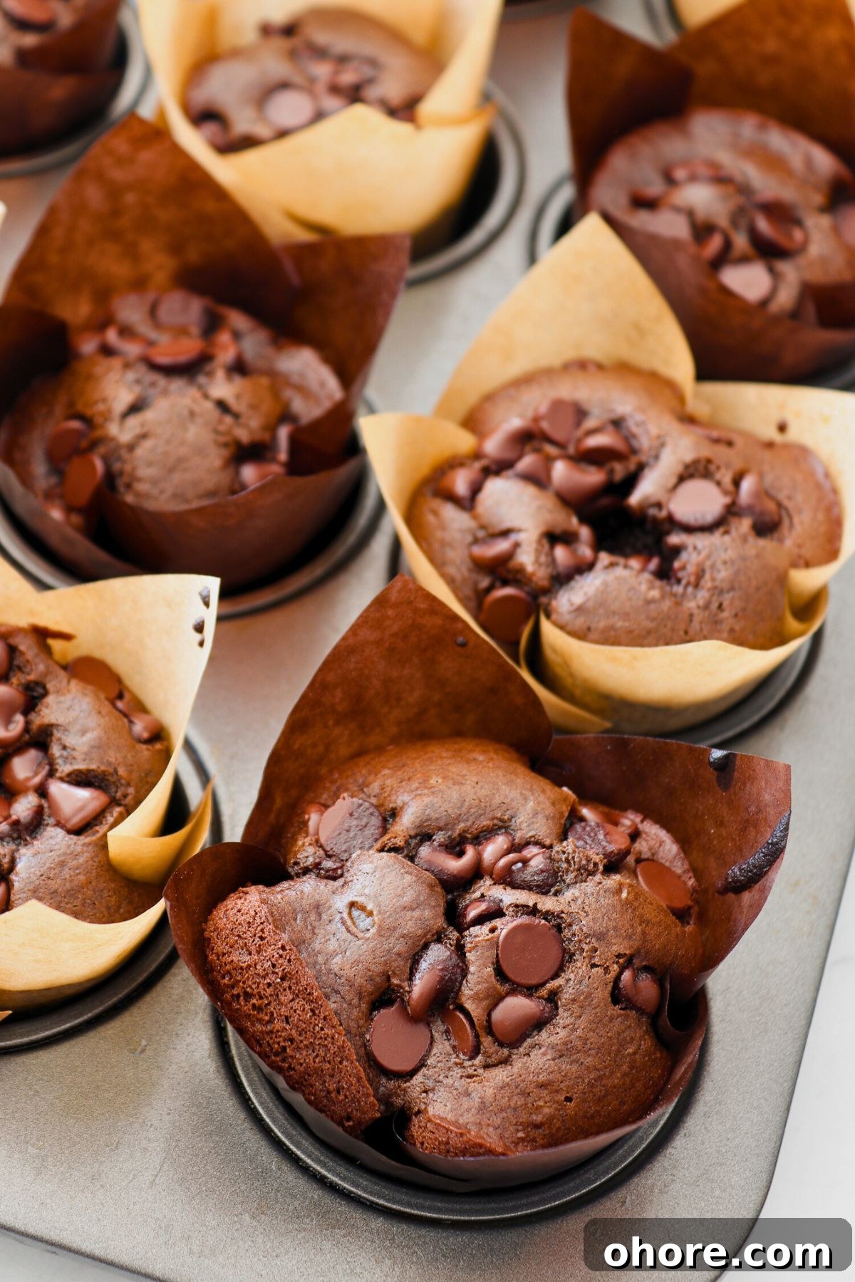 Decadent Double Chocolate Chip Muffins Recipe 2 Double chocolate chip muffins in paper liners in muffin pan.