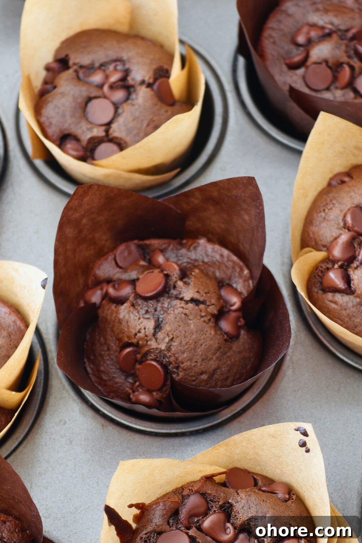 Decadent Double Chocolate Chip Muffins Recipe 7 Chocolate muffins in paper liners after being baked in the oven.