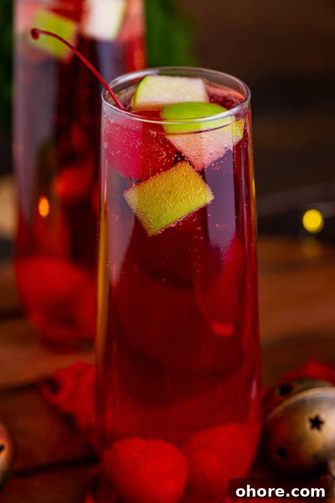 Sparkling Christmas Mocktail Recipes for Holiday Parties 3 Close up view of a tall glass filled with Christmas mocktail.