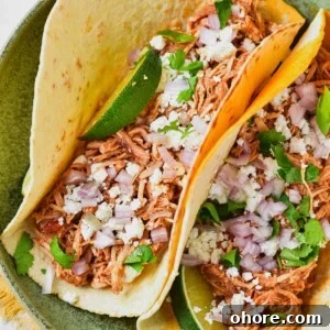 Authentic Chicken Tinga Recipe — Classic Tinga de Pollo 11 Chicken tinga tacos on a plate.