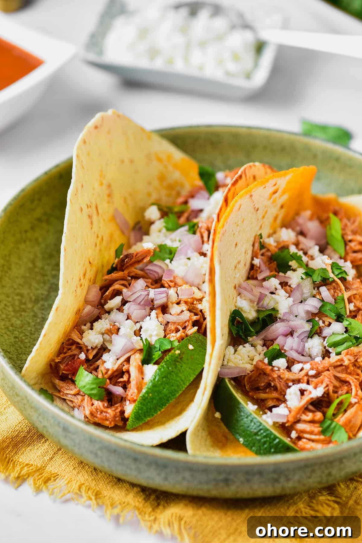 Authentic Chicken Tinga Recipe — Classic Tinga de Pollo 10 The completed recipe.
