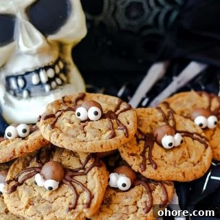 Malted Milk Ball Spider Cookies for Halloween Party Treats 7 img 18923 6