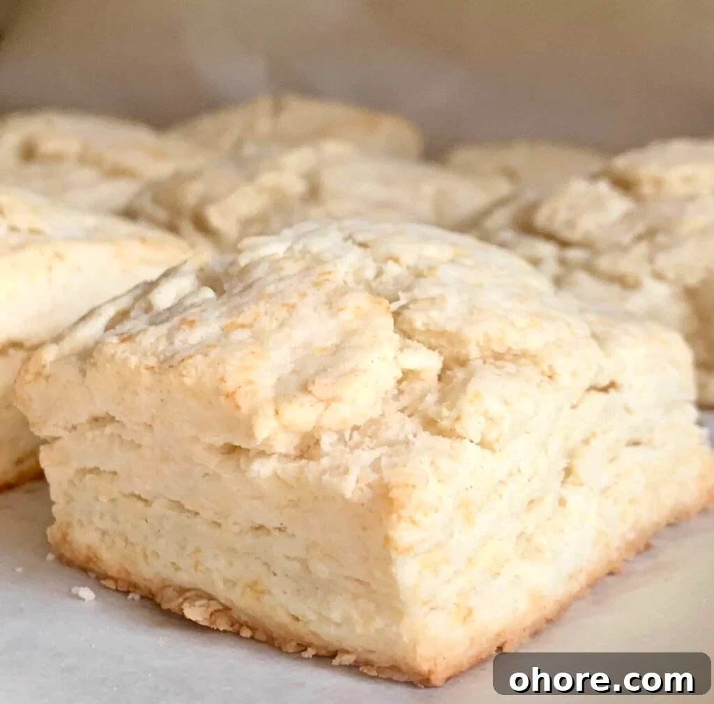 Quick Homemade Cream Biscuits Recipe for Flaky Golden Results 3 Biscuits close up