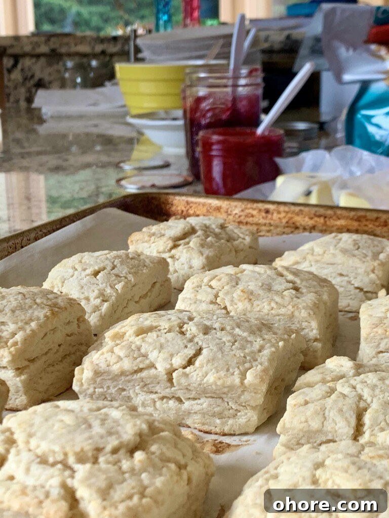 Quick Homemade Cream Biscuits Recipe for Flaky Golden Results 5 Biscuits with jam