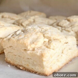Quick Homemade Cream Biscuits Recipe for Flaky Golden Results 6 Quick Cream Biscuits