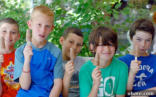 Sugar- and Gluten-Free Homemade Popsicle Recipes 2 popsicles