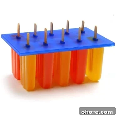 Sugar- and Gluten-Free Homemade Popsicle Recipes 4 Popsicle Molds