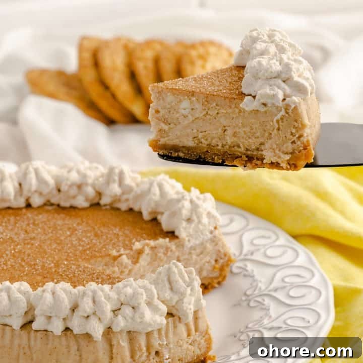 30+ Thanksgiving Recipes You Can Make in an Instant Pot 18 Image for Instant Pot Snickerdoodle Cheesecake