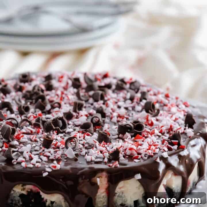 30+ Thanksgiving Recipes You Can Make in an Instant Pot 20 Instant Pot Peppermint Cheesecake garnished with peppermint candies and chocolate curls.