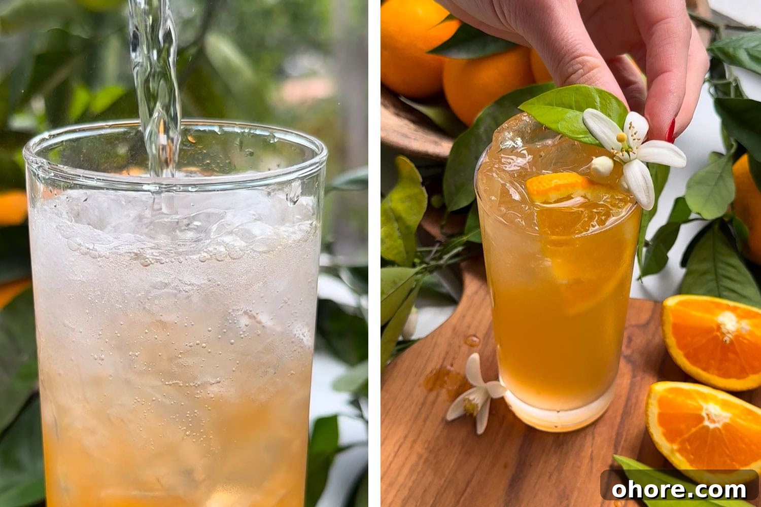 Orange Blossom Gin & Tonic Recipe — Floral G&T Cocktail Guide 6 add tonic to the cocktail and garnish with a slice of orange and an orange blossom